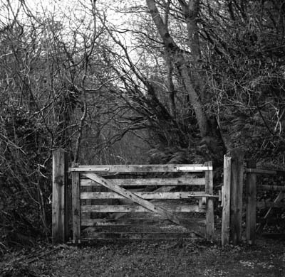 Wooden gate